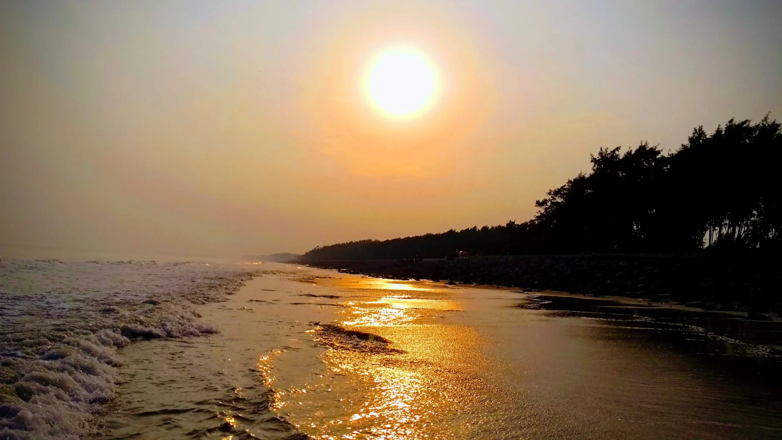 asim-mondal-p1FcNjM93QY-unsplash